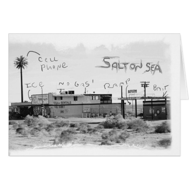 Funky Vacation - Salton Sea (Front Horizontal)