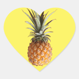 Funky Yummy Pineapple Sticker