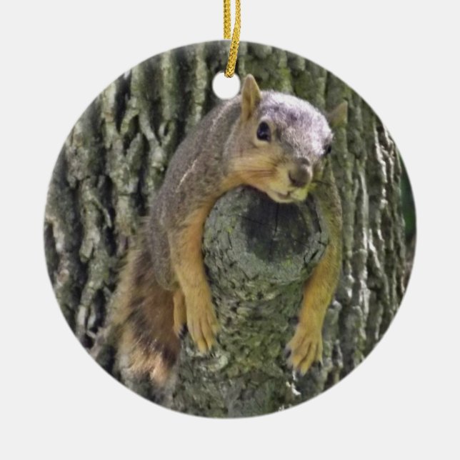 Funn Squirrel Christmas Ornament (Front)