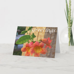 Funnel Flower Greeting Card