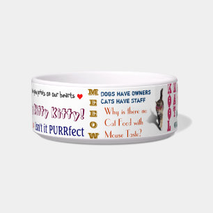 Funniest Cat Bowl