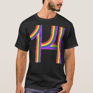 Funny 14th Birthday Gift Cute 14 Year Old Rainbow T-Shirt