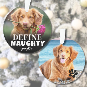 Funny 2 Photo Pet Christmas Ornament