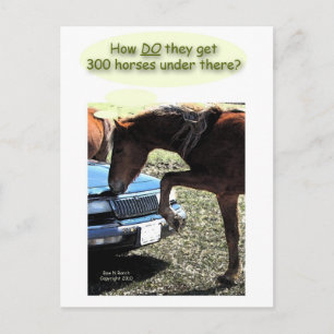 Funny 300 Horse Car Postcard