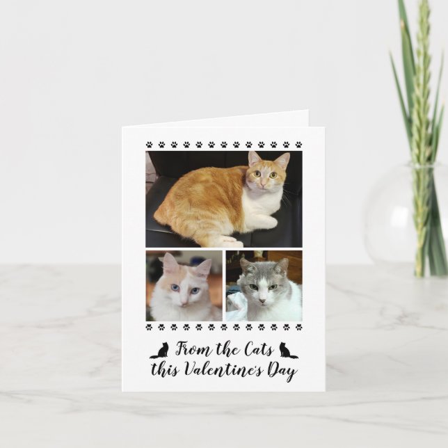 Funny 3 Photo Script From Cat Dog Pet Valentines Holiday Card (Front)