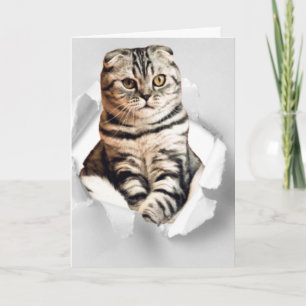 Funny 3d graphic cat torn paper illusion  card