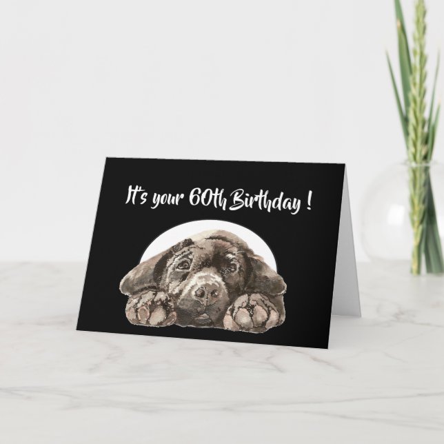 Funny 60th Birthday, Labrador Retriever Card (Front)