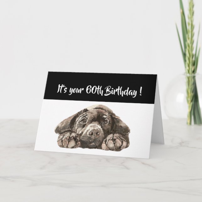Funny 60th Birthday, Labrador Retriever Card (Front)