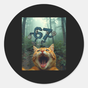 Funny 67 Cat Selfie 6 7 Brainrot Teen Boys Meme Ha Classic Round Sticker