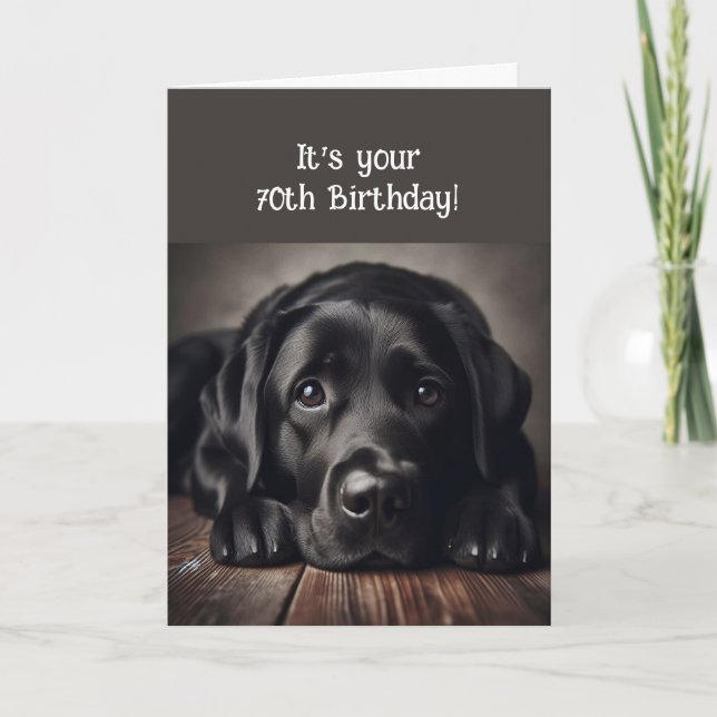 Funny 70th Birthday, Labrador Retriever Card (Front)