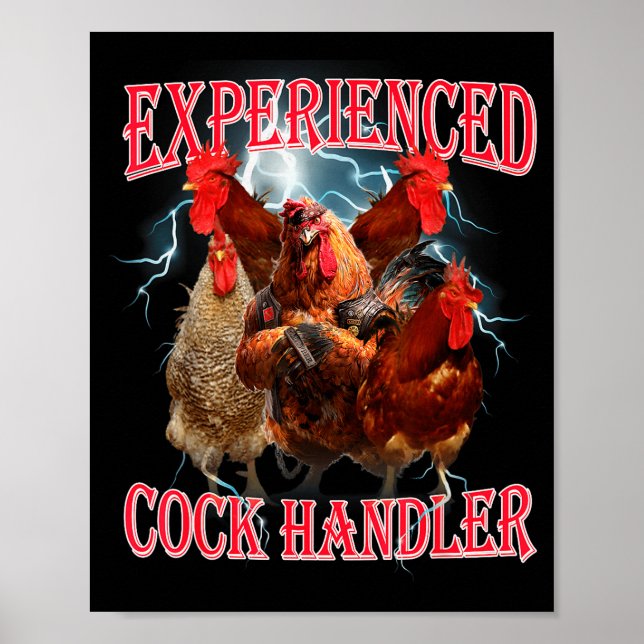 Funny Adult Humor Experienced Handler Inappropriat Poster (Front)