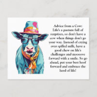 Funny Advice From A Cow