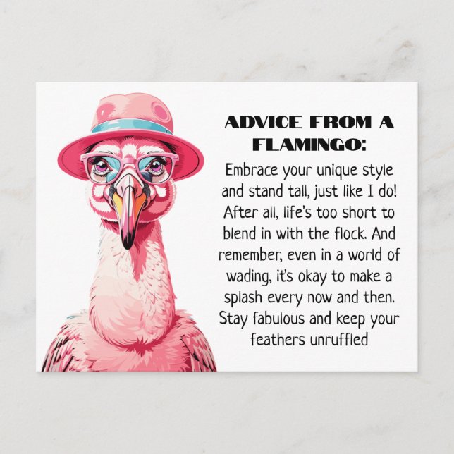 Funny Advice from A Flamingo Postcard (Front)