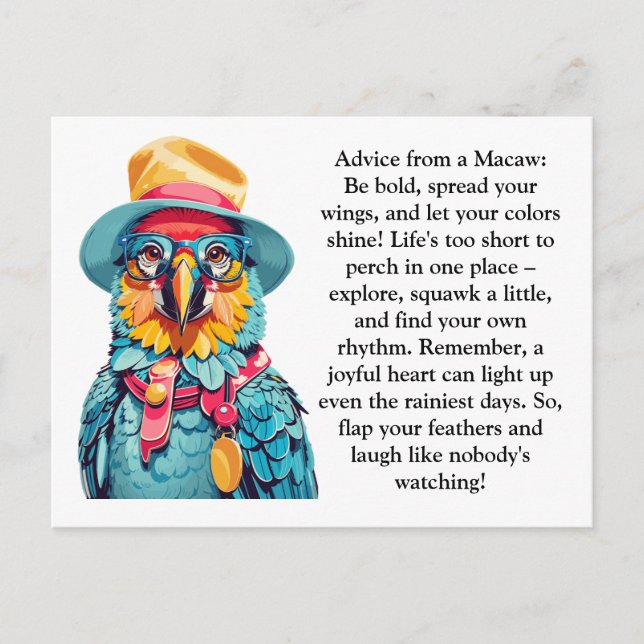 Funny Advice From A Macaw Postcard (Front)