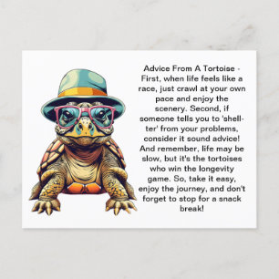 Funny Advice From A Tortoise Postcard