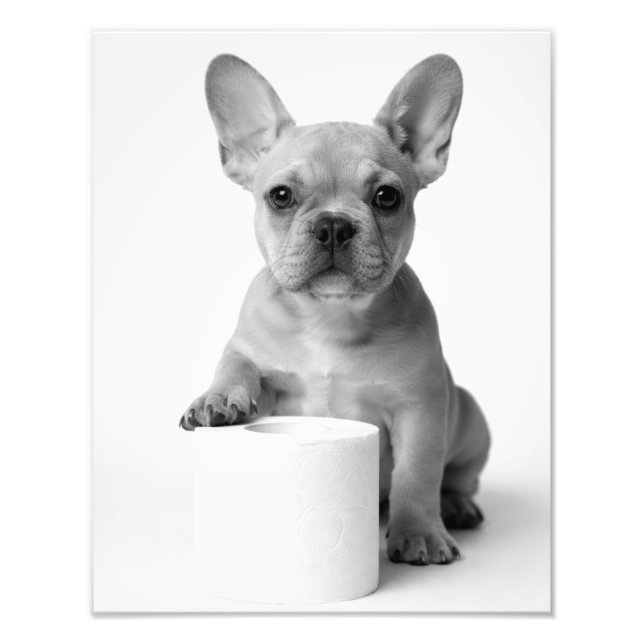 Funny Aesthetic French Bulldog Toilet Paper Photo Print (Front)