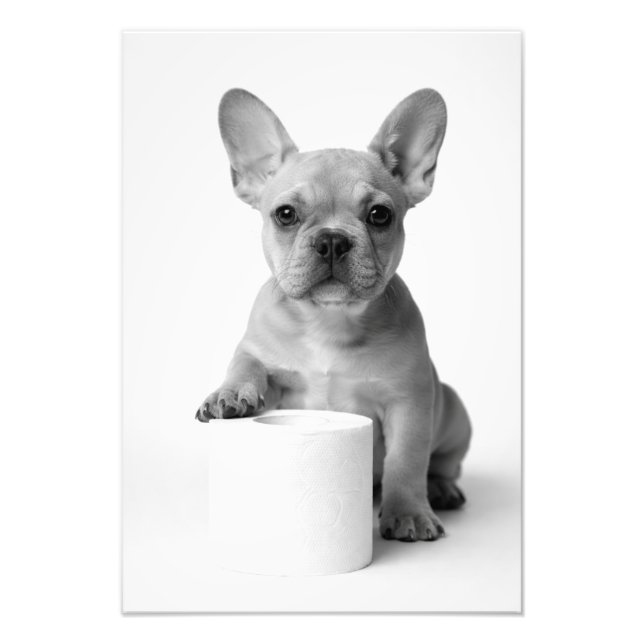 Funny Aesthetic French Bulldog Toilet Paper Photo Print (Front)
