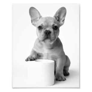 Funny Aesthetic French Bulldog Toilet Paper Photo Print