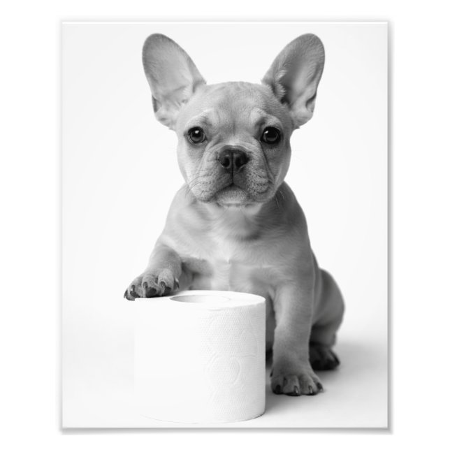 Funny Aesthetic French Bulldog Toilet Paper Photo Print (Front)