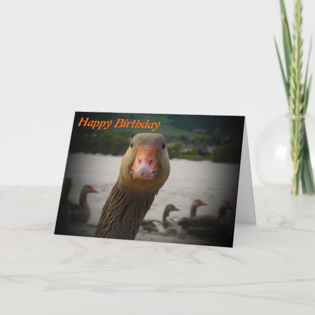 Funny Aging Birthday Old Bird Goose Card (Front)