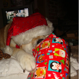 funny akita santa hat cute christmas dog jigsaw puzzle