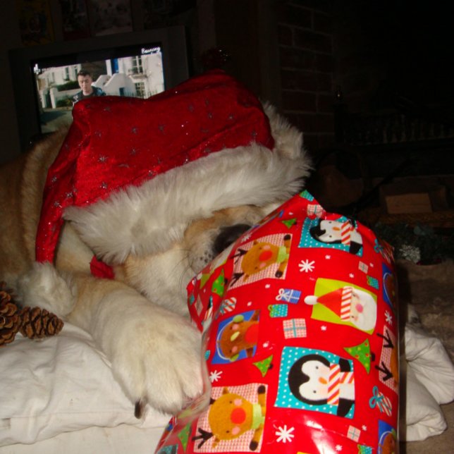 funny akita wearing santa hat cute christmas dog jigsaw puzzle (Creator Uploaded)