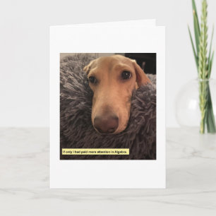 Funny Algebra Dachshund Card