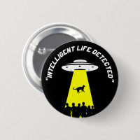 Funny Alien Cat Abduction