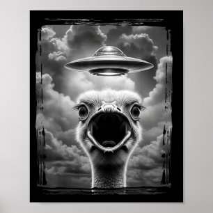 Funny Alien Turkey Ufo Selfie Thanksgiving Meme Poster