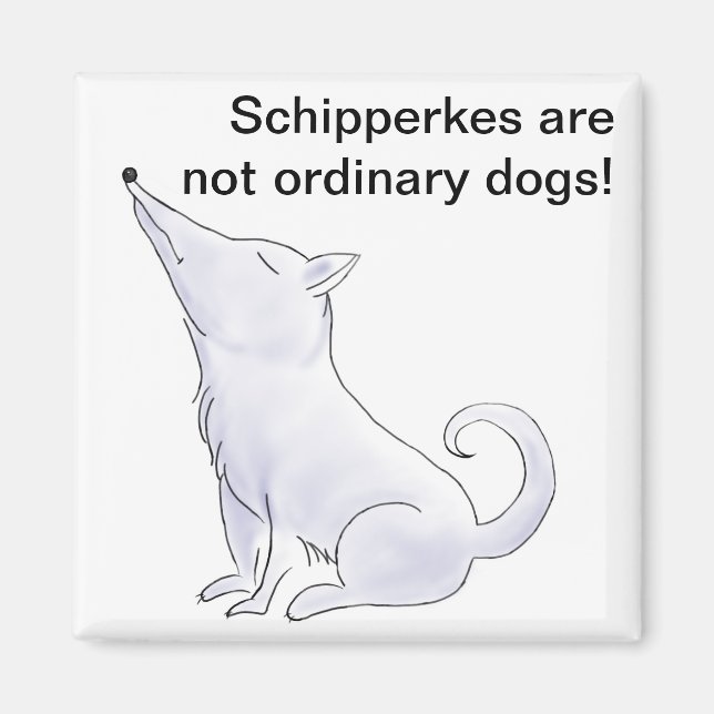 Funny Aloof Schipperke Dog Cartoon Magnet (Front)