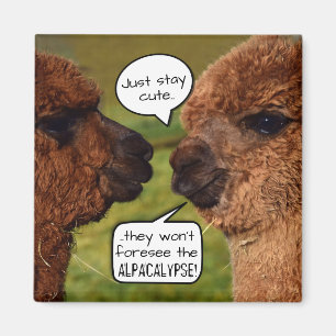 Funny Alpaca Alpacalypse Scheming Magnet
