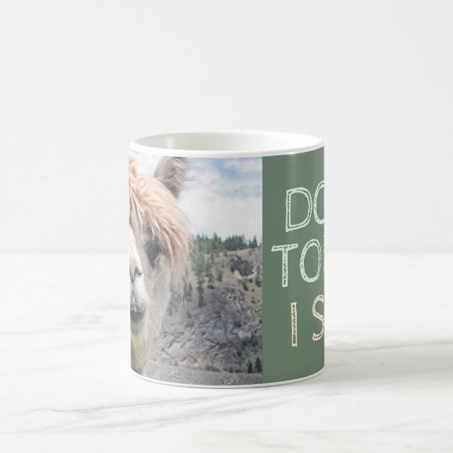 Funny Alpaca Llama Don't Touch I Spit Coffee Mug (Center)