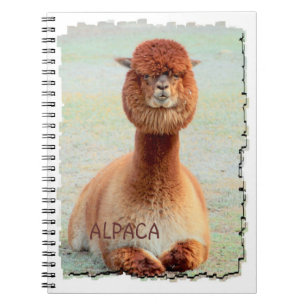 Funny Alpaca Notebook
