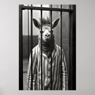 Funny Alpaca Prison Print Vintage Animal Photo