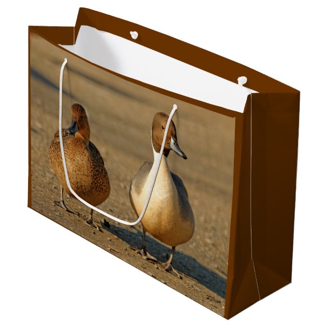 Funny American / Northern Pintail Ducks Gothic Large Gift Bag (Front Angled)