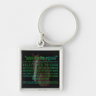 funny amo-bacter equui horse lover keyring