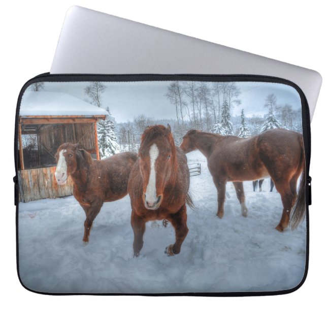 Funny Amorous Stallion and Reluctant Mare Horses Laptop Sleeve (Front)