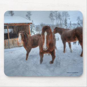 Funny Amorous Stallion and Reluctant Mare Horses Mouse Pad