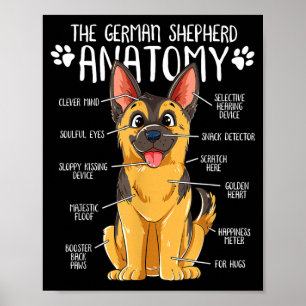 Funny Anatomy German Shepherd Dog Owner Poster