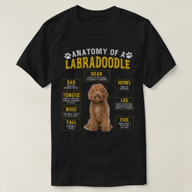 Funny Anatomy Labradoodle Gifts For Women Men  T-Shirt (Design Front)