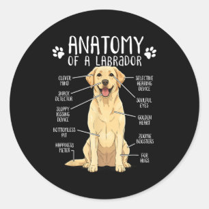 Funny Anatomy Labrador Retriever Yellow Lab Dog Ow Classic Round Sticker