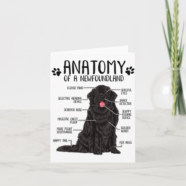 Funny Anatomy Newfoundland Dog Cute Newfie Lover  Card (Front)