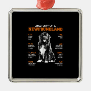 Funny Anatomy Of A Newfoundland Dogs Metal Tree Decoration
