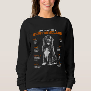 Funny Anatomy Of A Newfoundland Dogs Sweatshirt