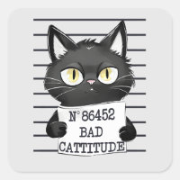 Funny and Cute Black Cat Mugshot