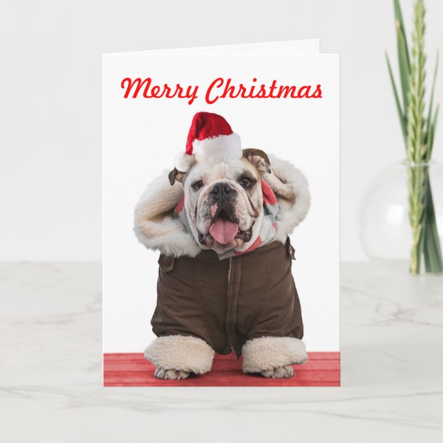 Funny and cute Bulldog Christmas cards (Front)