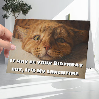Funny and Humourous Cat Lovers Joke Happy Birthday Card