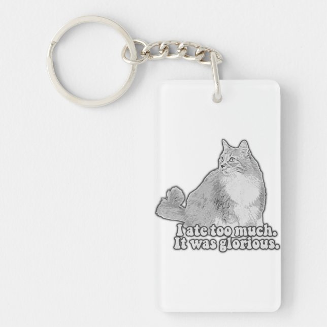 Funny angry cat meme for kitten lovers & cat owner key ring (Front)