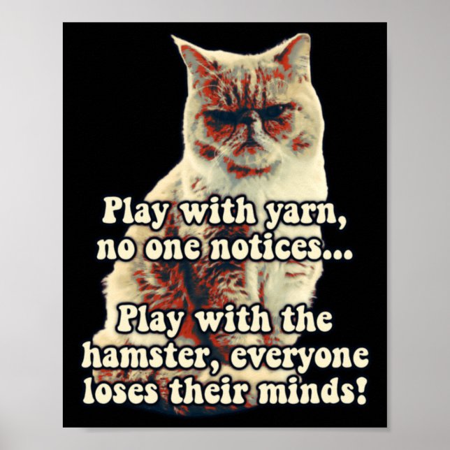 Funny Angry Cat Meme For Kitty Persons Cat Lovers  Poster (Front)