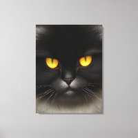 Funny Angry Fluffy Black Persian Kitty Cat Face
